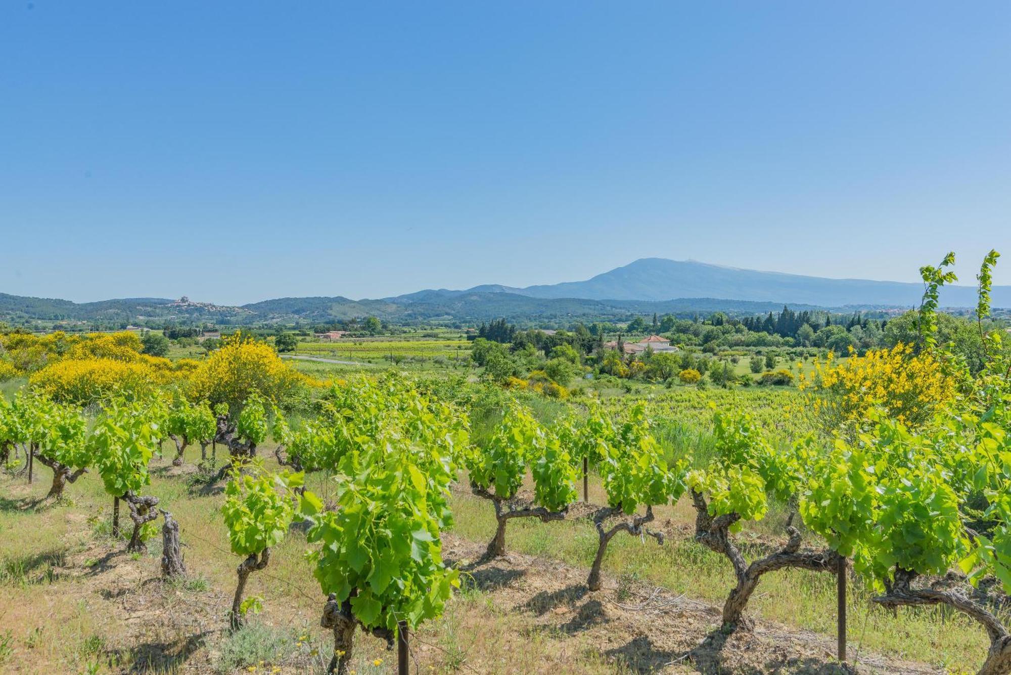 Вілла Domaine Purviti Бом-де-Веніз Екстер'єр фото